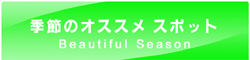 �G�߂̃I�X�X���X�|�b�g